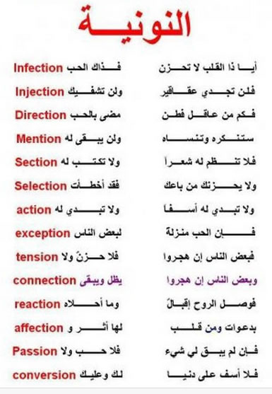 معلقة النونية العصماء
